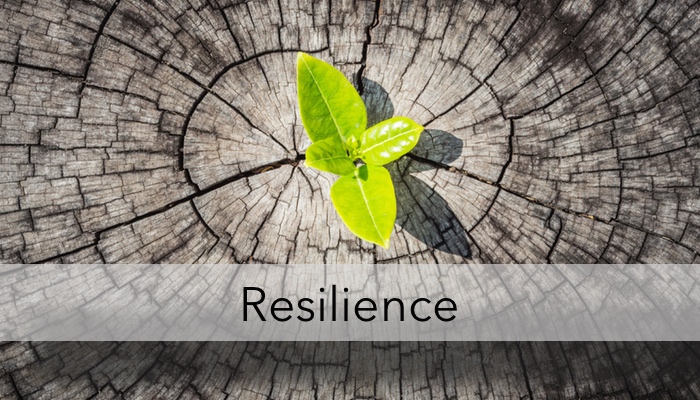resilience banner
