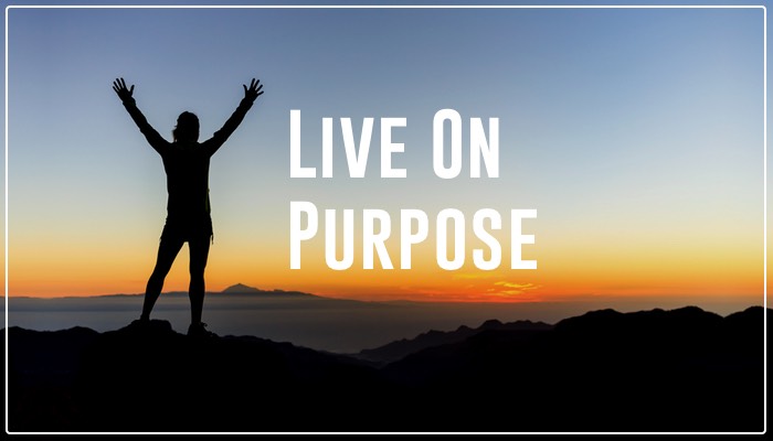 Are you living your life on purpose or do you spend most of your time reacting? If you've ever looked at your caller ID, only to see a number that makes your stomach drop, you are reacting. If you have ever seen someone walking down the hall and you consciously chose to avoid this person, you are reacting. Life is full of emotional and potentially stressful situations. How we respond to those situations as they arise has a profound an effect on our productivity, relationships, and health.