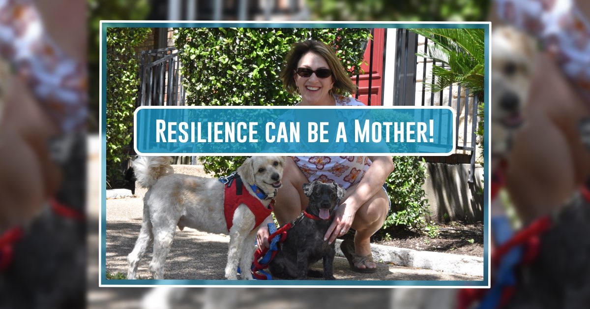 Building Resilience Can be a Mother