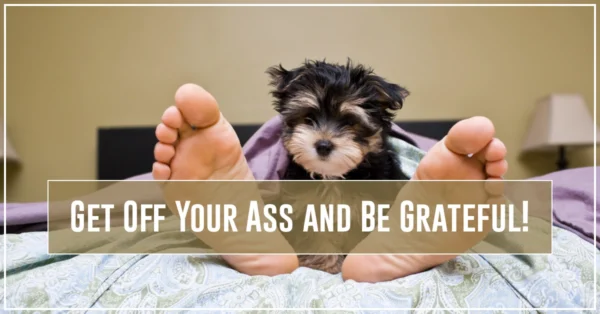Get Off Your Ass and Be Grateful by Resilience Keynote and Author Anne Grady.