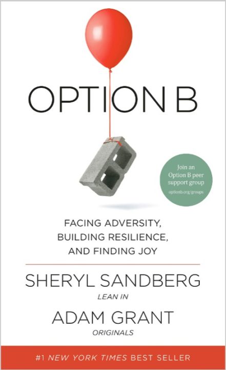Book Cover - Option B Sheryl Sandberg Flat (490x800)
