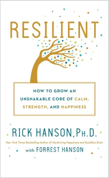 Book - Resilient Rick Hanson Flat (490x800)