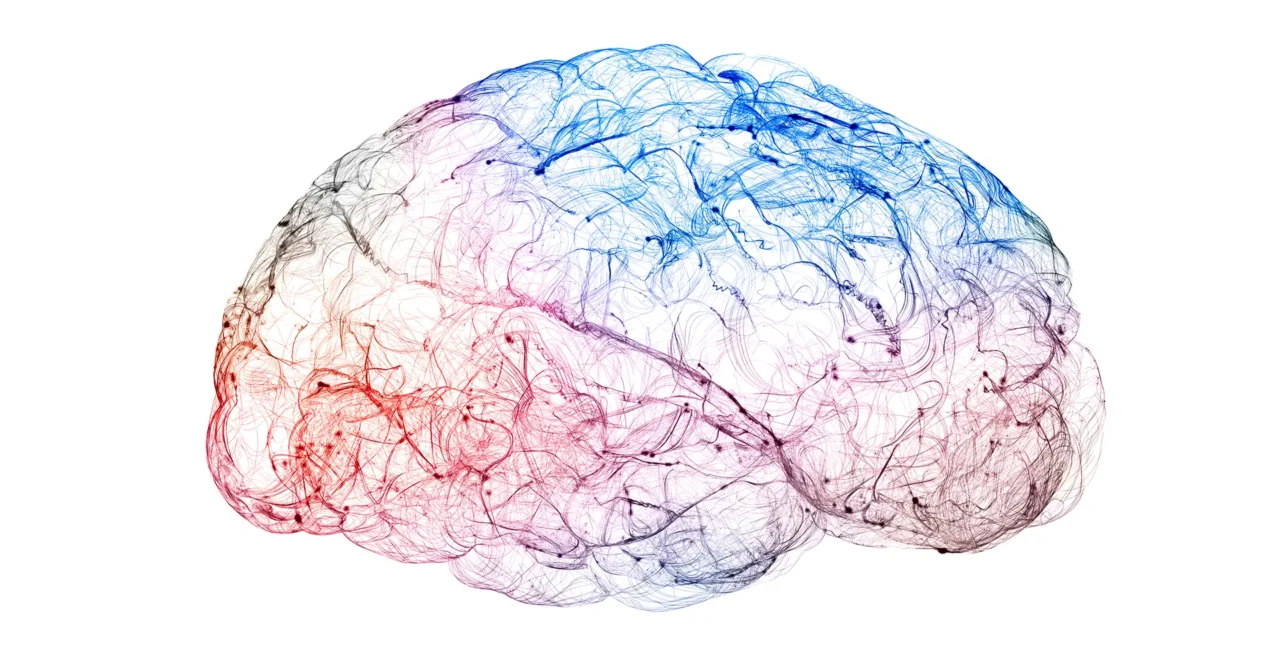 Your Brain Loves Laughter Your Brain Loves Laughter